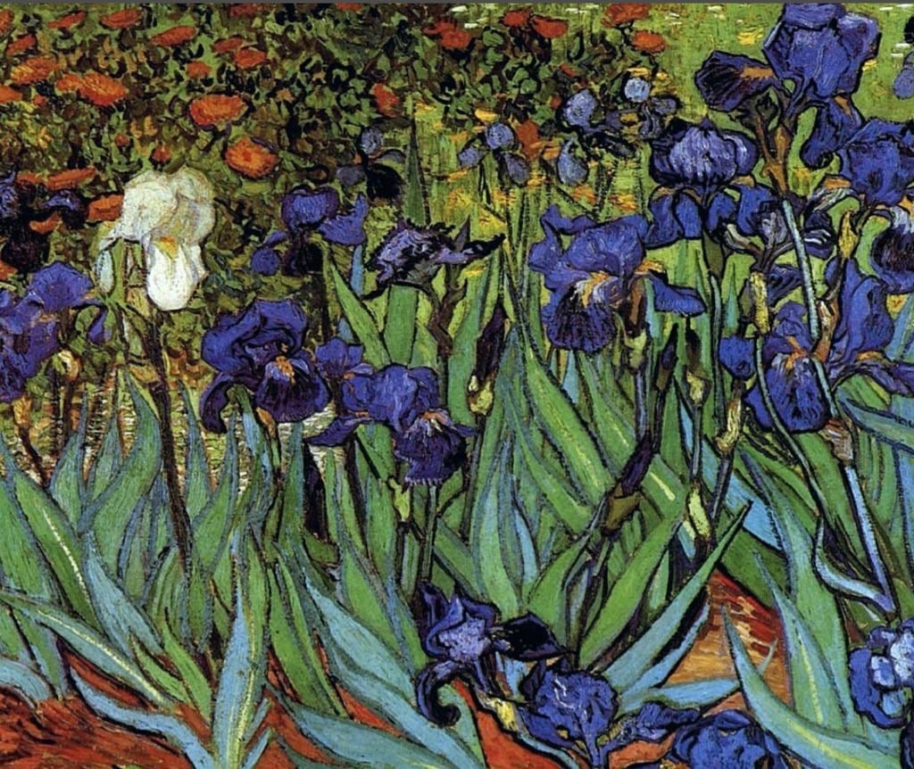 Sanat Bizi Neden Mutlu Eder? Irisler min