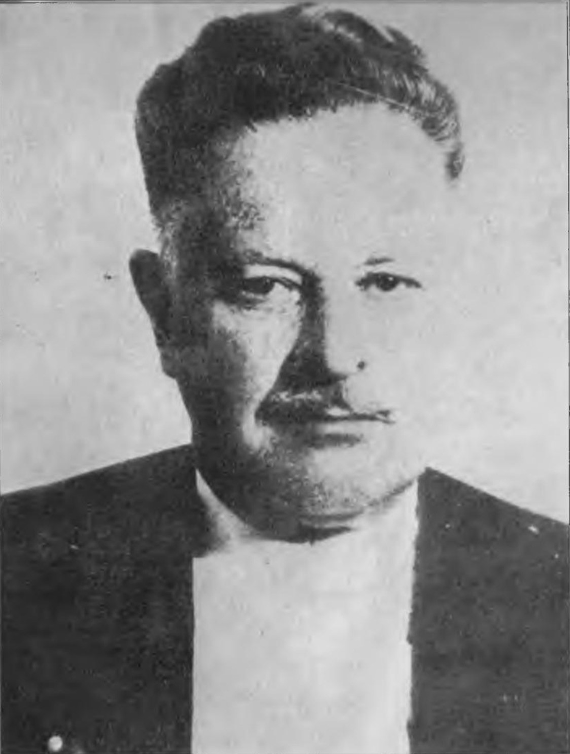 Resimde Şiirde ve Aşkta Nazım Hikmet Nazim Vesikalik