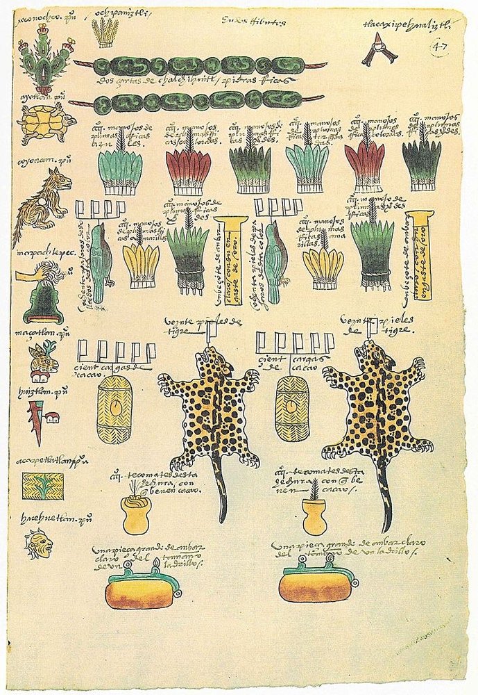 Acıdan Tatlıya, Kırmızı-Kahve Bir Hikâye: Çikolata Codex Mendoza bir Aztek codexi 1541 yili civari min